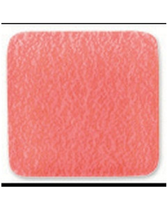 AstralPool Smooth Anti-slip Glassy Coating TRAMA 50 Red