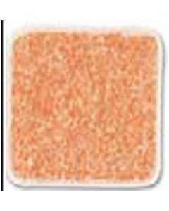 AstralPool Anti-SLIP FOG Anti-Slippery Glassy Coating ORANGE FLOUD