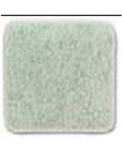 AstralPool Anti-SLIP FOG Anti-Slip Glassy Coating TRAMA 50 GREEN 204