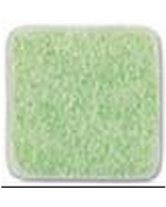 AstralPool Anti-slip Glassy Coating NIEBLA NIEBLA ANTISLIZANTE TRAMA VERDE 211