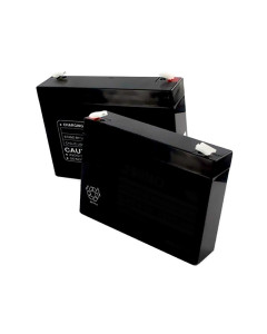 Yamaha Aqua Cruise Battery