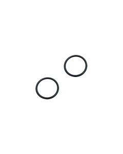 Set of 2 O-rings shower AstralPool 4401040266