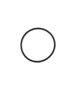 Astralpool Smart Next, E-Next and Advance electrode sealing O-Ring