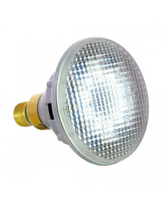 AstralPool PAR38 LED underwater lamp LED PAR38