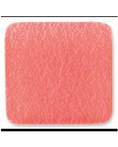 AstralPool Smooth Anti-slip Glassy Coating TRAMA 50 Red