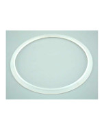 Junta silicona proyector extraplano AstralPool 4403010102