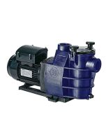 Hayward Starpump II
