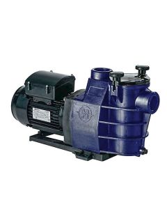 Hayward Starpump II