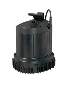 Master DW Sicce pond pump