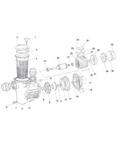 Saci Optima Pump Spare Parts